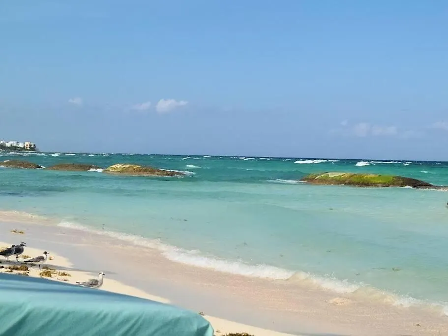 Villa Luxury Downtown-Tulum Countryclub Bahia Principe Akumal Mexico